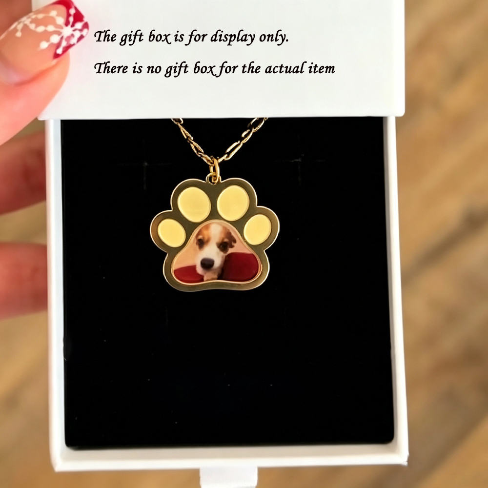 Collar personalizado con color - Pet Portrait Custom reseña y precio